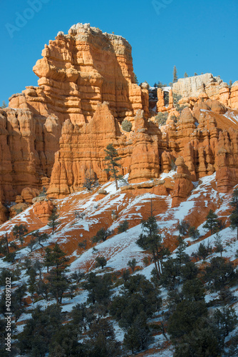 USA, Utah. Spring snow in Red Canyon, Dixie National Forest.