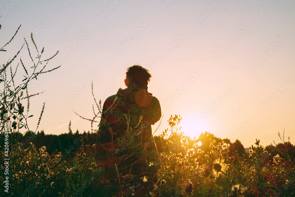 Man in wildflower field watching sunset, rear view Man in wildflower field watching sunset, rear view