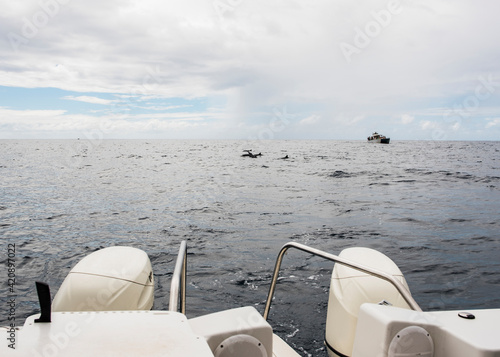 Motorboat in sea, Na Pali Coast, Kauai, Hawaii