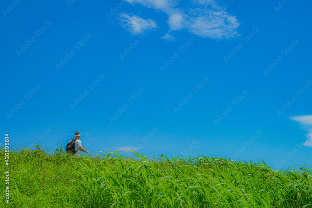 江戸川の河川敷風景(松戸市矢切) 江戸川の河川敷風景(松戸市矢切)