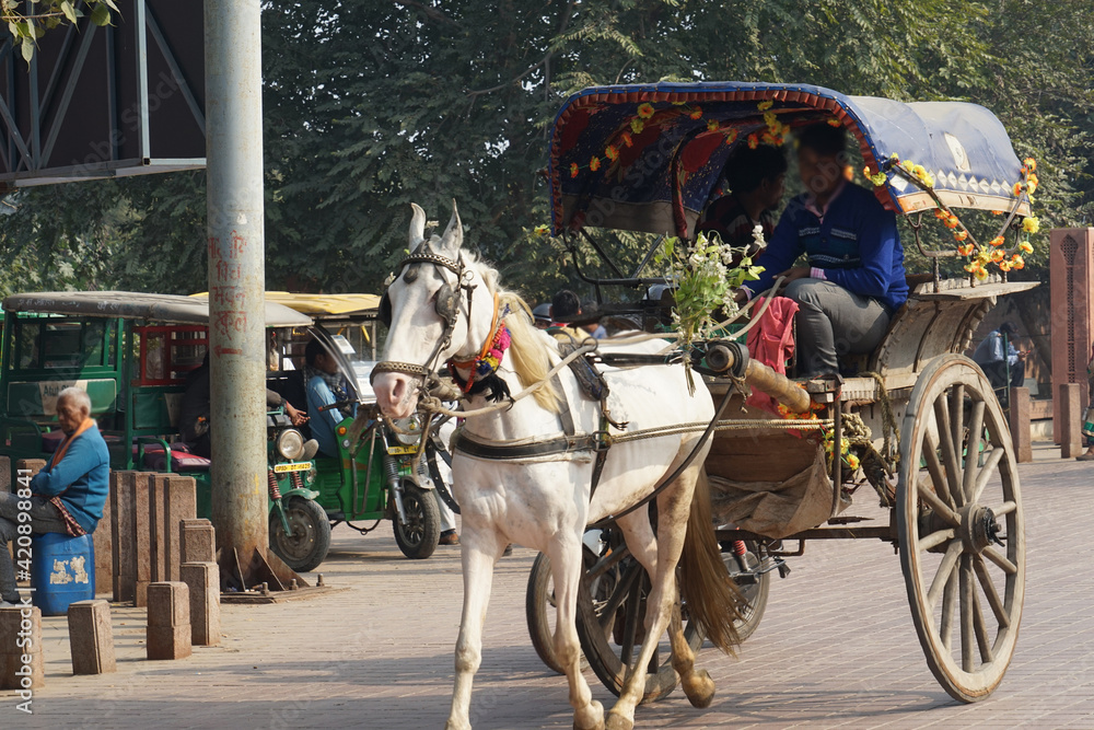 タージマハルへ続く専用道路（インド・アーグラ）
