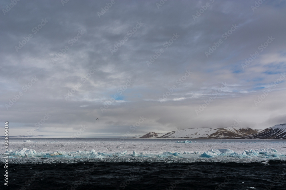 Pack ice, Wahlenberg fjord, Nordaustlandet, Svalbard, Norway Pack ice, Wahlenberg fjord, Nordaustlandet, Svalbard, Norway