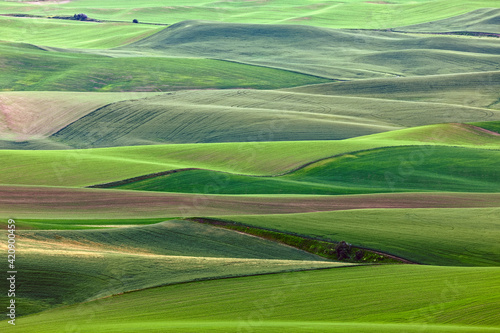 Pattern in rolling hills of the Palouse agricultural region of Eastern Washington State.