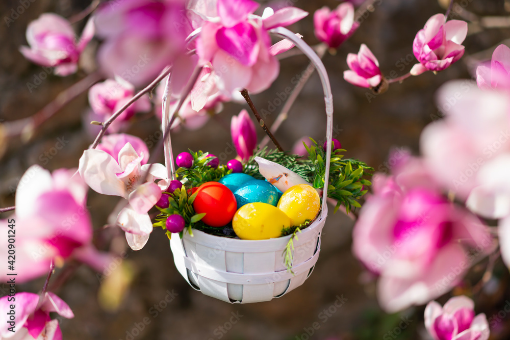 Close up of basket with colorful easter eggs against pink flowers in garden or park. Happy Easter background. 
