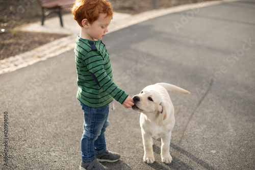 Boy giving pet puppy training treat photo