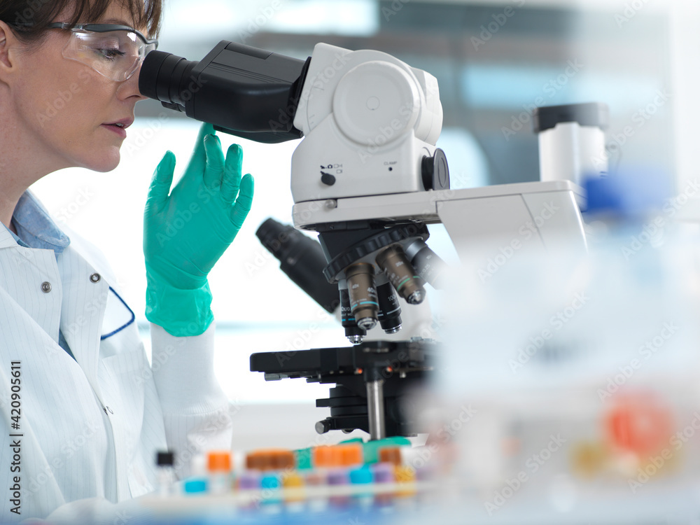 Medical testing of variety of human samples including blood and tissue under microscope in laboratory Medical testing of variety of human samples including blood and tissue under microscope in laboratory