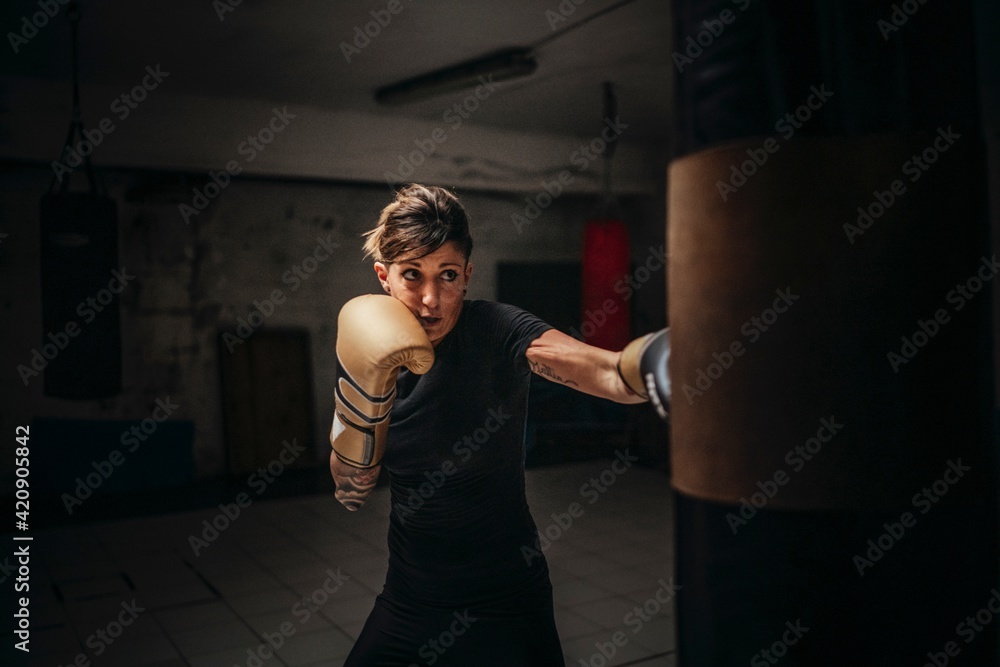 Boxer training with sandbag in gym Boxer training with sandbag in gym