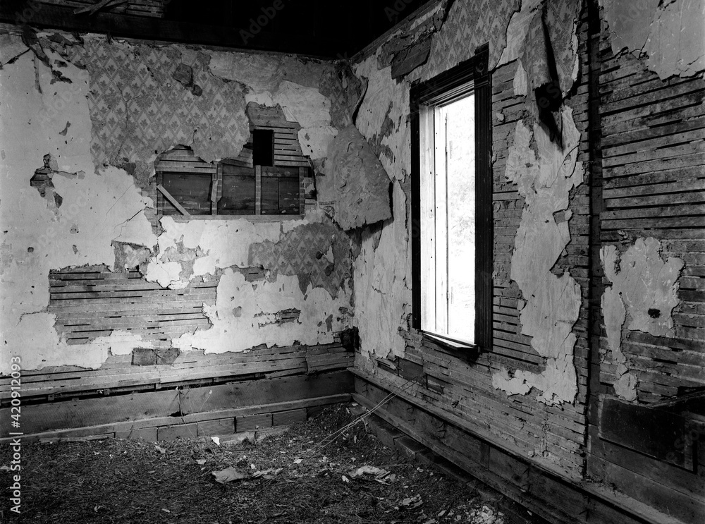Remnants, Walt Place 03. The interior of an abandoned house in an advanced state of decay. Near Pennville, Missouri USA, 1979. Remnants, Walt Place 03. The interior of an abandoned house in an advanced state of decay. Near Pennville, Missouri USA, 1979.
