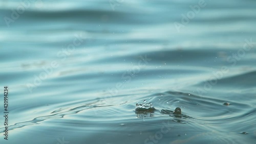 SLOW MOTION, CLOSE UP, DOF: Cinematic detailed shot of tiny drops of glassy water creating ripples in the calm sea. Small droplets of crystal clear liquid fall into the vast tranquil blue ocean. photo
