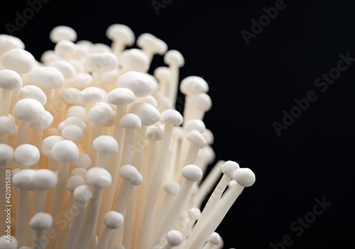 Close-up of Enoki mushrooms on black background