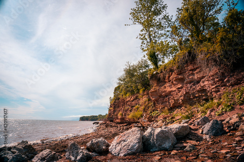 tree on the rocks