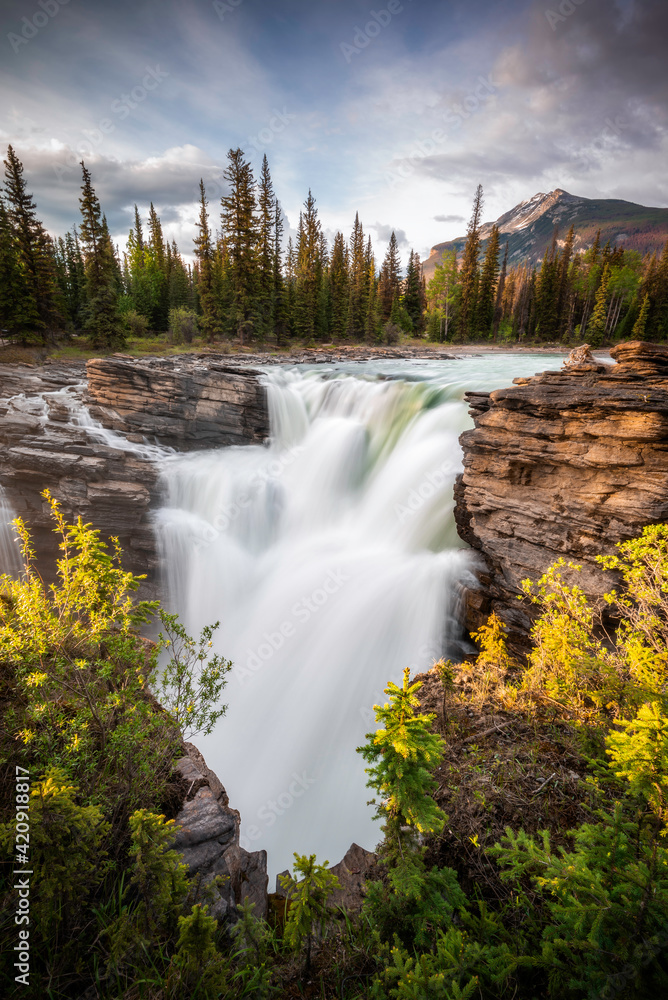 Athabasca Falls in Jasper National Park in the evening as the setting sun shines on the mountains, cliffs, and greens.