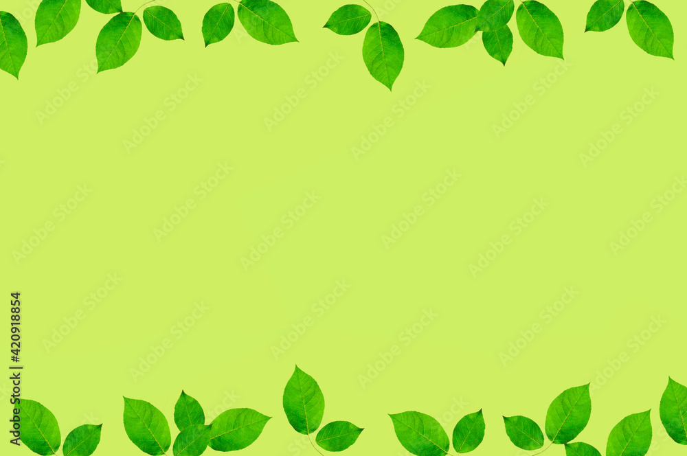 Background with beautiful bright green leaves on light green isolated background with place for text