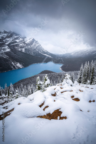 An early Summer snowfall high above iconic Peyto Lake along the Icefields Parkway in Banff National Park.