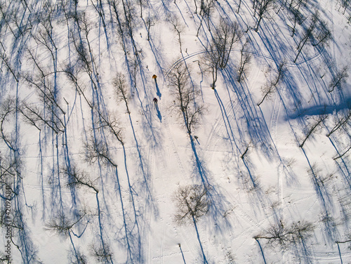 High angle view of cross-country skiiers in Vasterbottens Lan, Sweden. photo