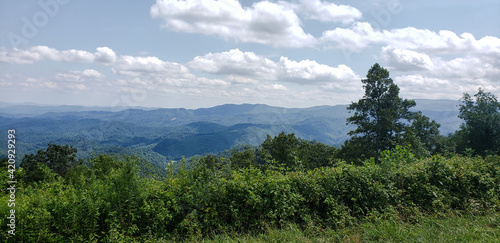 landscape in the morning