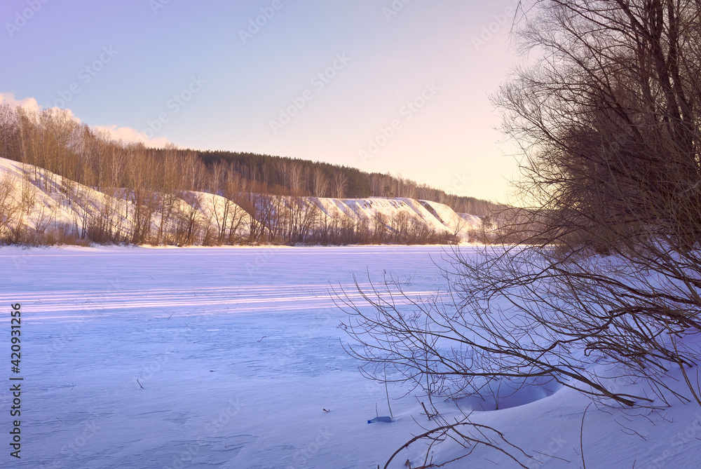 The bank of the Inya River in winter. A high slope with trees at the top among blue drifts of snow in the morning light against a clear sky. Novosibirsk, Siberia, Russia