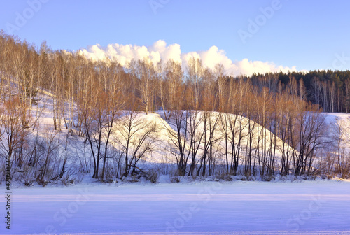 The bank of the Inya River in winter. A high slope with trees at the top among blue drifts of snow in the morning light against a clear sky. Novosibirsk, Siberia, Russia photo