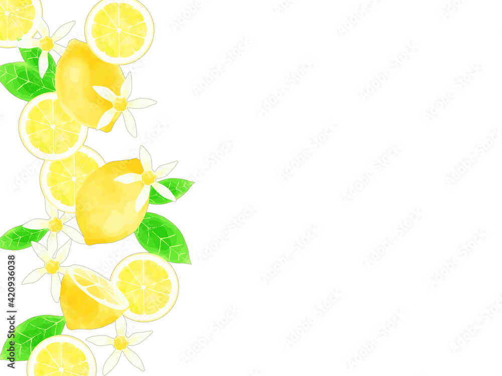 水彩風レモンのイラストのフレーム素材 Vektornyj Obekt Stock Adobe Stock 水彩風レモンのイラストのフレーム素材 Vektornyj Obekt Stock Adobe Stock