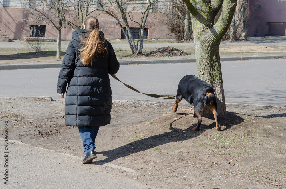 An adult woman walks with her pet on a leash along a city street
