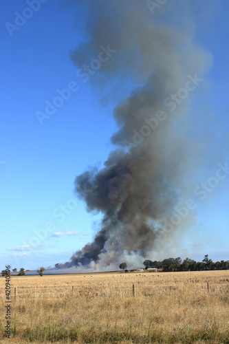 Burning off farm land to introduce nitrogen into soil, for better crop yield