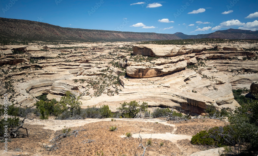 Spectacular Horse Collar Ruin at the Natural Bridge National Monument in Utah