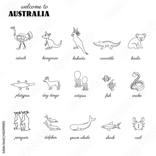 Decorative set kakadu, Golden-haired penguin, whale, fish, kangaroo, Australian wild animal, Tropical bird cartoon character design, Cute line art vector illustration isolated on white for design