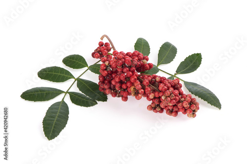 Schinus terebinthifolia fruits and green leaves isolated on white background. photo