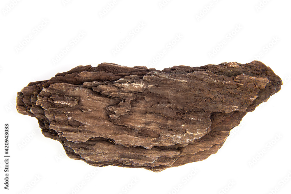 Sedimentary rock isolated on white background.top view,flat lay. Sedimentary rock isolated on white background.top view,flat lay.