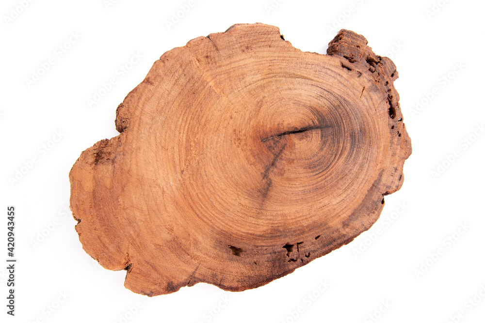 Round shape wood placed isolated on white background. ,top view,flat lay. Round shape wood placed isolated on white background. ,top view,flat lay.
