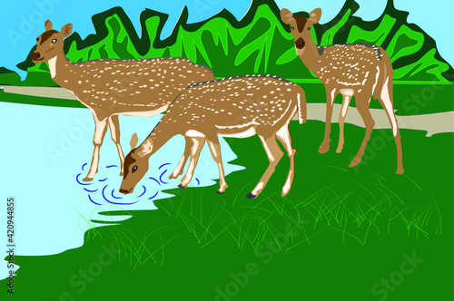 A herd of deer coming to drink from a lake in the middle of a forest. vector illustrations 