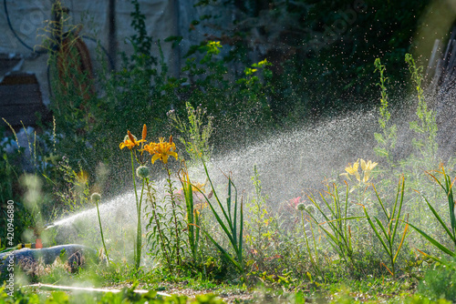 Automatic Garden Lawn sprinkler in action watering grass. Green Nature Background concept