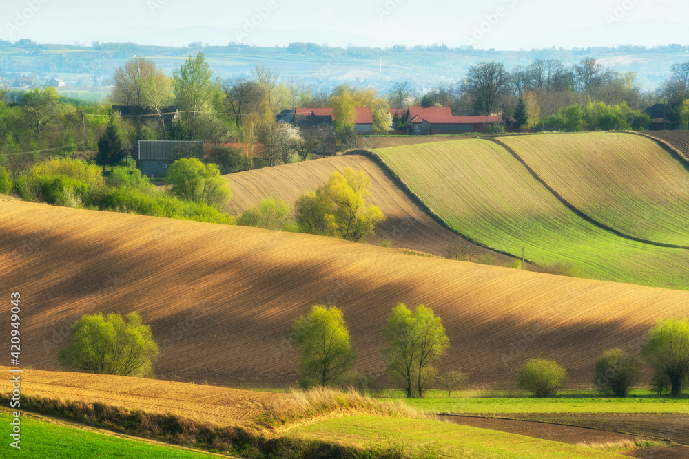 Fototapeta premium Beautiful spring rural landscape with green fields