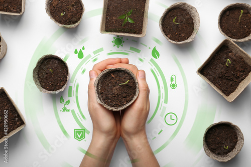 Female hands with seedlings...