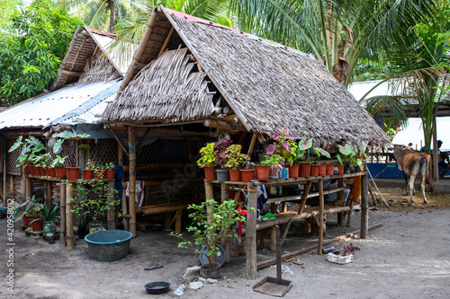 Rustic wooden hut in traditional asian village. Native lifestyle travel photo. Traditional lifestyle of fishermen on sea shore. South Asia indigenous people living. Palm leaf house with flower pots © Elya.Q