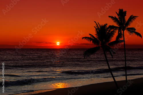 Sunset over ocean with palm trees silhouette.