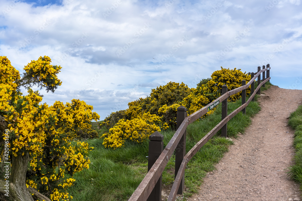 Fototapeta premium Path around Dunnottar Castle , ruined medieval fortress located upon a rocky headland on the northeastern coast of Scotland