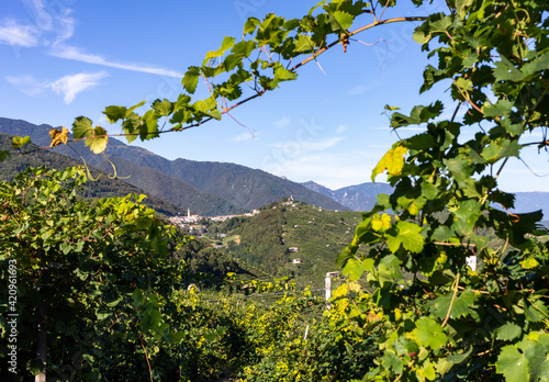 Picturesque hills with vineyards of the Prosecco sparkling wine region in Guietta and Guia. Italy. photo