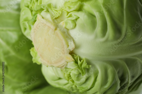 Fresh green cabbage on whole background, close up