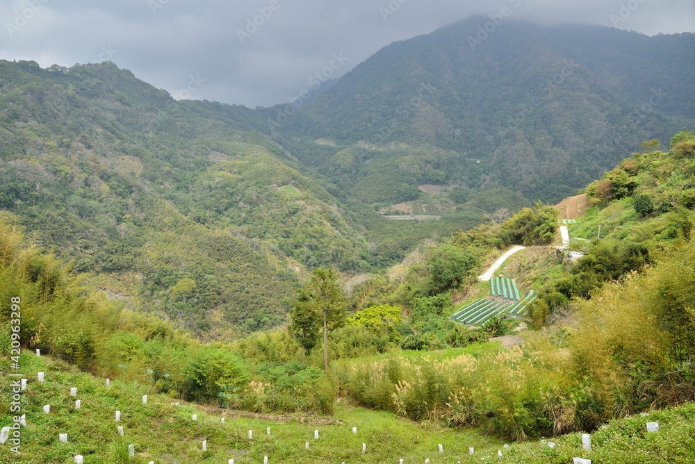 Mountain landscape View Resort.in the Meiyuan Village, Miaoli County,Taiwan.