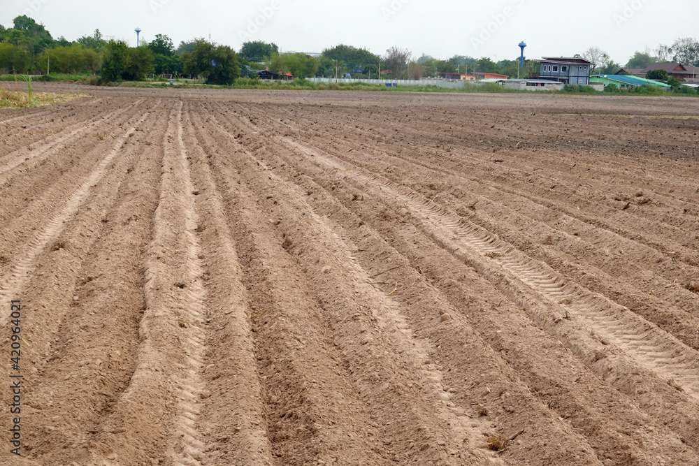 Landscape of empty land plot for grow plant crops. Landscape of empty land plot for grow plant crops.