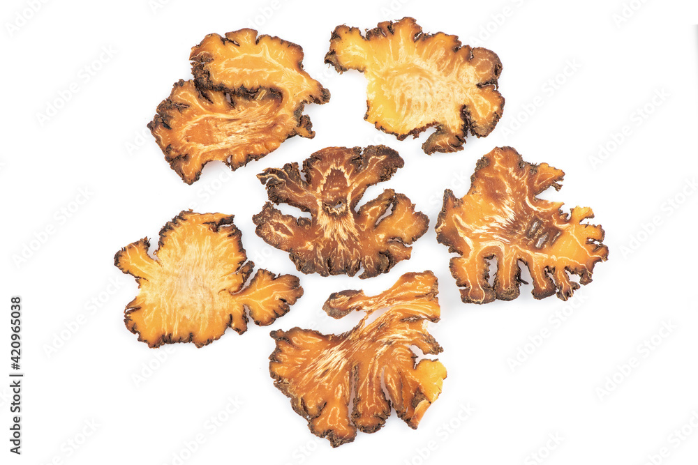 Szechuan lovage, Selenium or Ligusticum striatum,dried slice isolated on white background.top view,flat lay Szechuan lovage, Selenium or Ligusticum striatum,dried slice isolated on white background.top view,flat lay