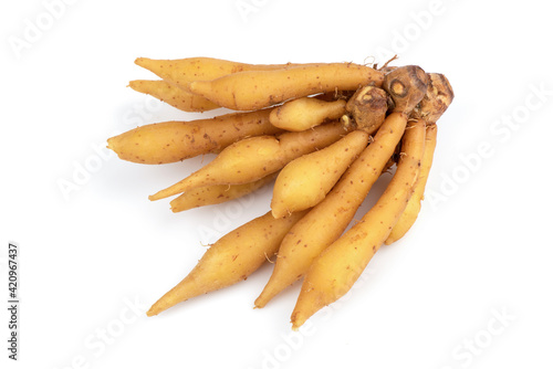 Fingerroot or Galingale rhizome isolated on white background.top view,flat lay.