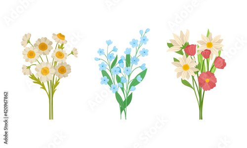 Bunch of Spring Flowers with Fragrant Blossom on Green Stem Vector Set