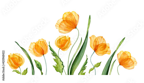 Watercolor field flowers. Spring yellow flowers with green leaves. Floral hand drawn banner. Realistic botanical illustration for Easter cards