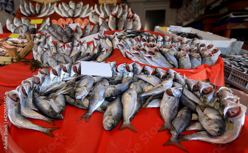 Top view of fresh blue fish (bluefish, Pomatomus saltatrix) on the counter photo