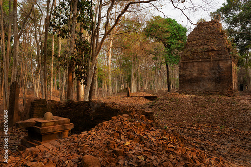  Ruins of   goal kampong tom Wat Temple with root of trees in forest  Cambodia.