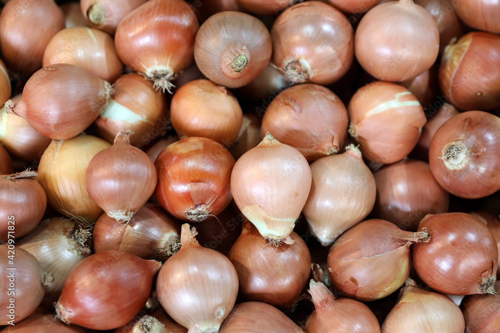 onions on market onions on market