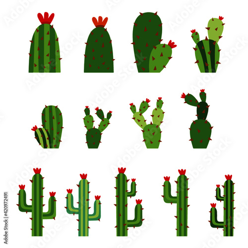 Cactus