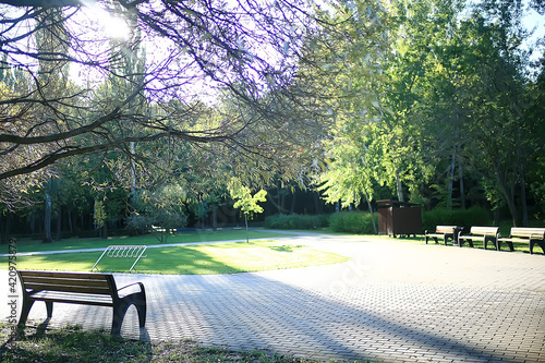 landscape in autumn park bench / beautiful garden bench, concept of rest, nobody in autumn park, landscape background, fall photo